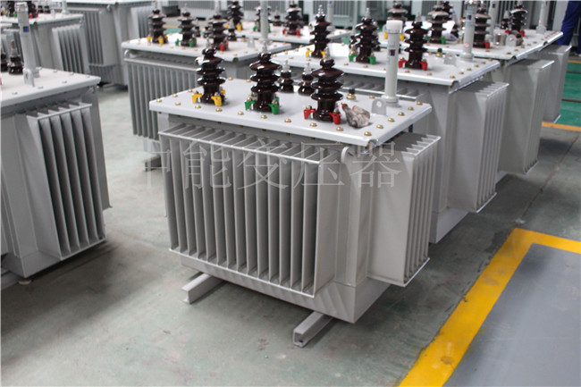 乐山S22-100KVA/10KV/0.4KV变压器